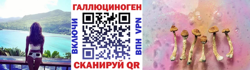 Купить закладки  Димитровград  Галлюциногенные грибы MAGIC MUSHROOMS